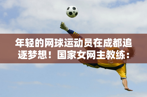 牌影响力